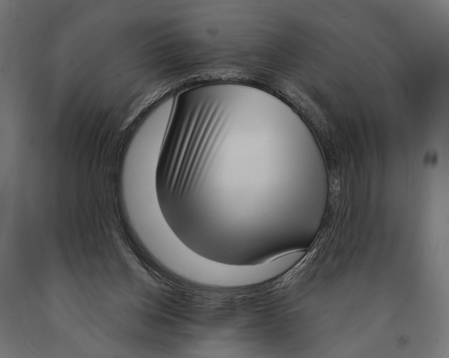 X0000090420158200708031114