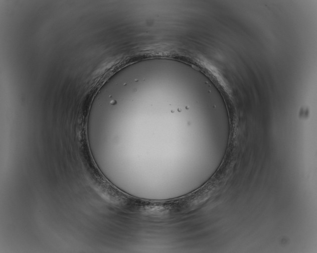 X0000090420161200708031114