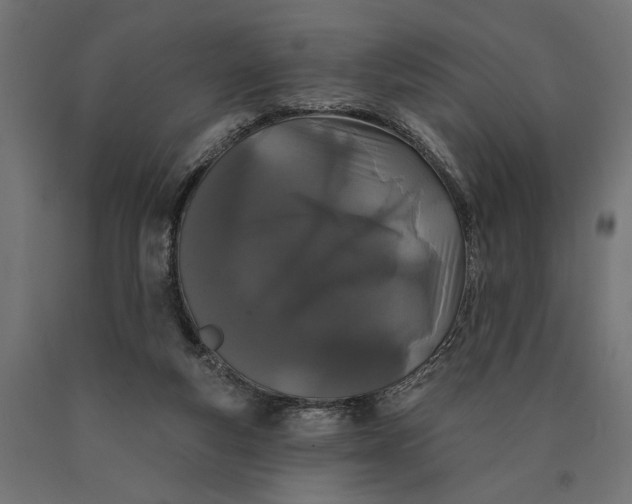 X0000090420163200708031114