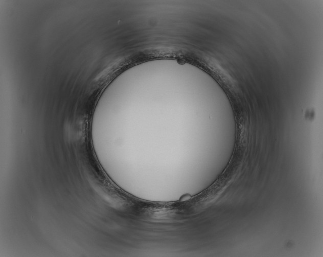 X0000090420165200708031114