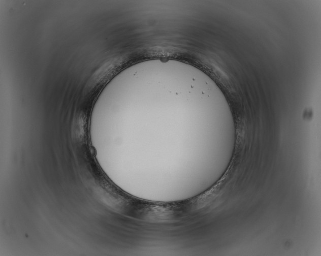 X0000090420166200708031114