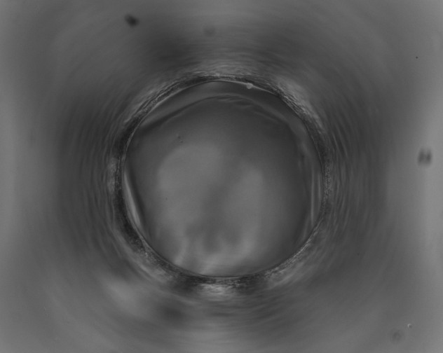 X0000090420167200708031114