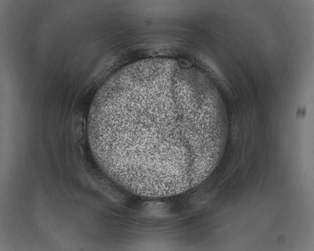 X0000090420169200708031114