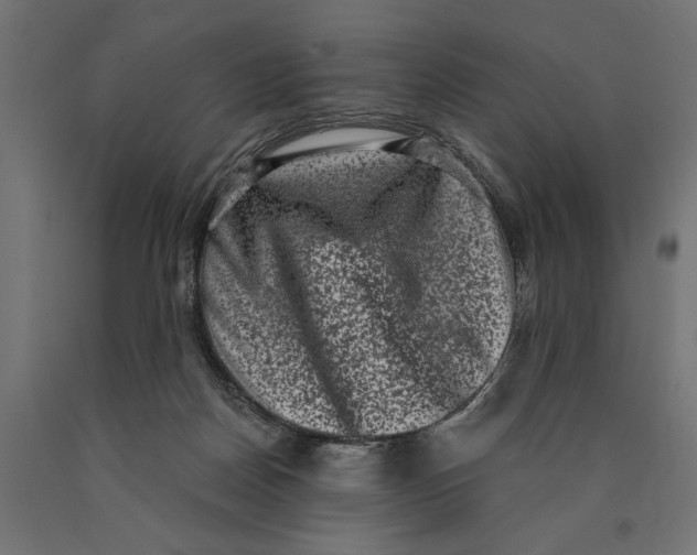 X0000090420170200708031114