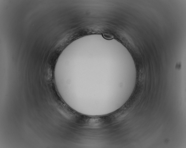 X0000090420173200708031114