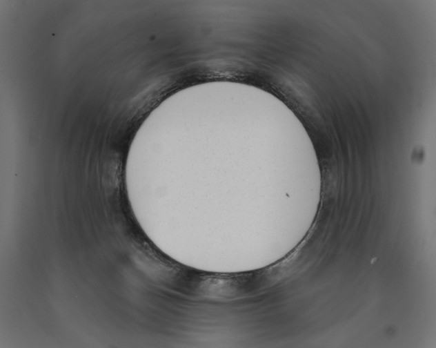 X0000090420174200708031114