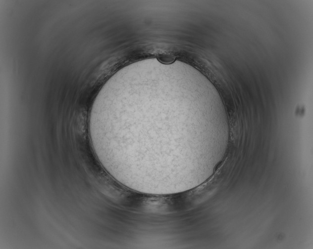 X0000090420175200708031114