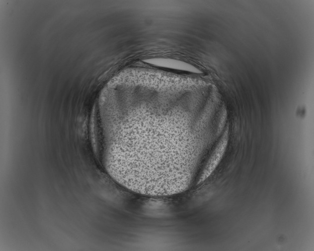 X0000090420177200708031114