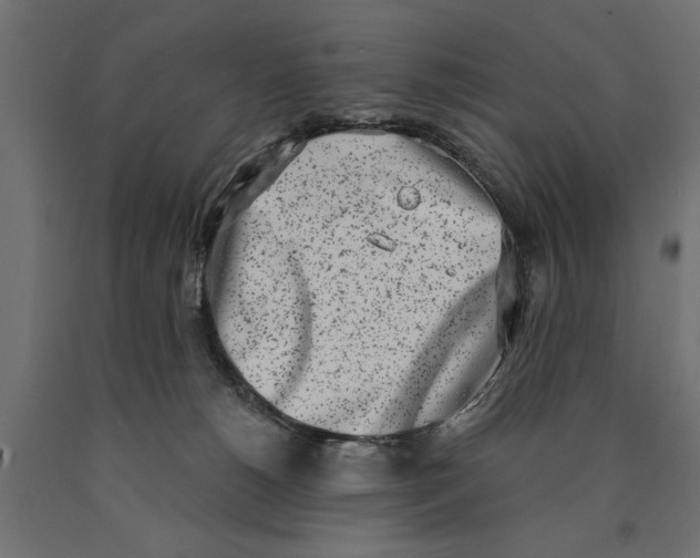 X0000090420180200708031114