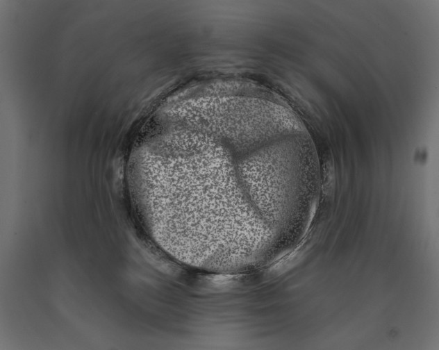 X0000090420184200708031114