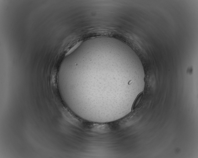 X0000090420185200708031115