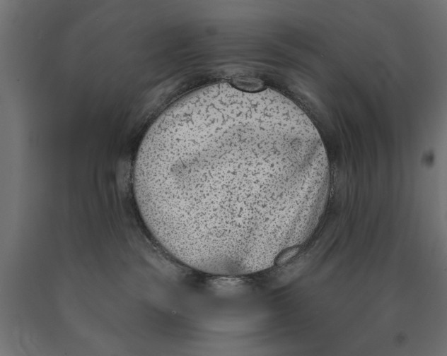 X0000090420189200708031115