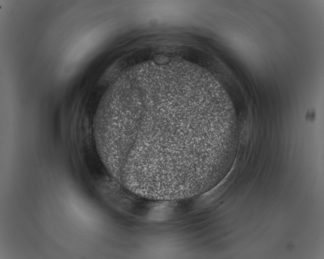 X0000090420191200708031115