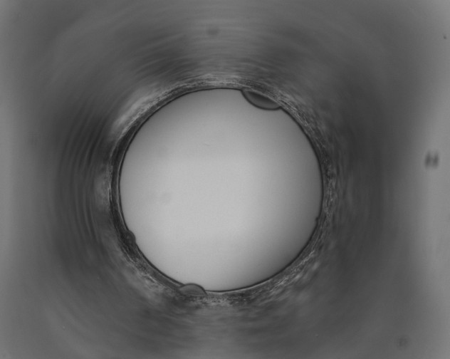 X0000090420194200708031114