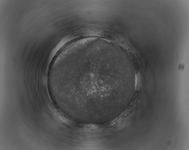 X0000090420195200708031114