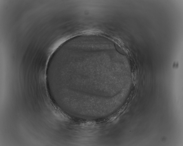 X0000090420196200708031114