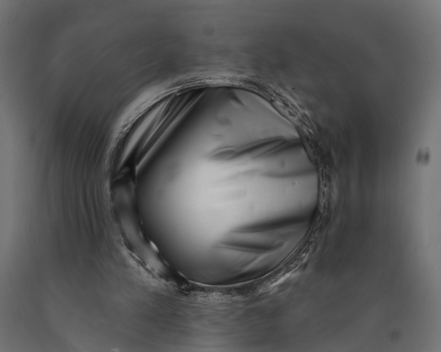 X0000090420197200708031114