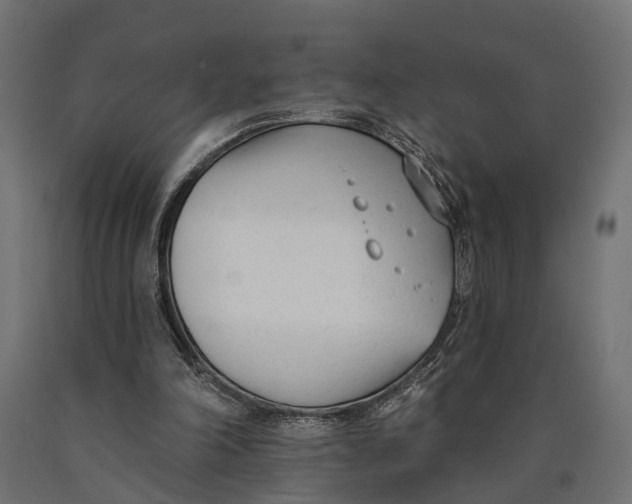 X0000090420198200708031114