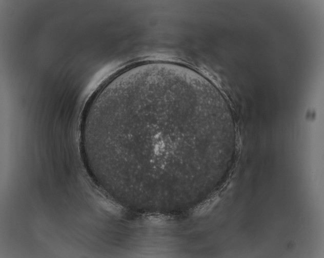 X0000090420199200708031114