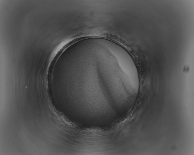 X0000090420200200708031114