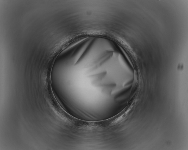 X0000090420201200708031114