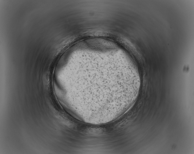 X0000090420202200708031114