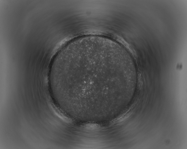 X0000090420203200708031114