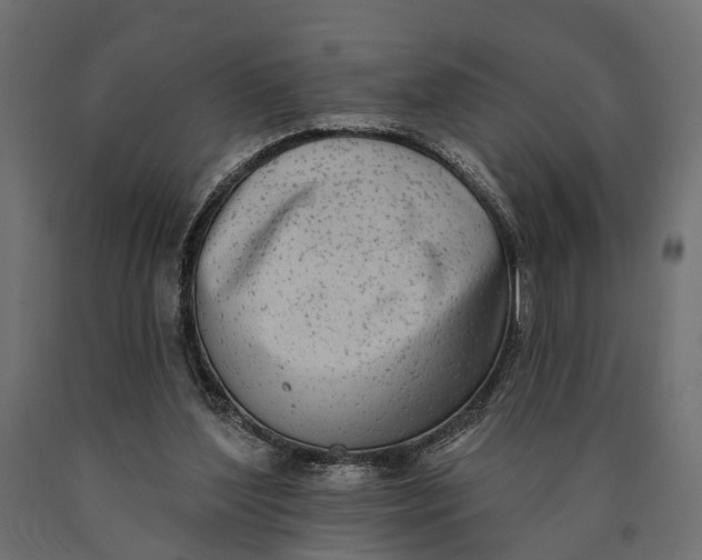 X0000090420204200708031114