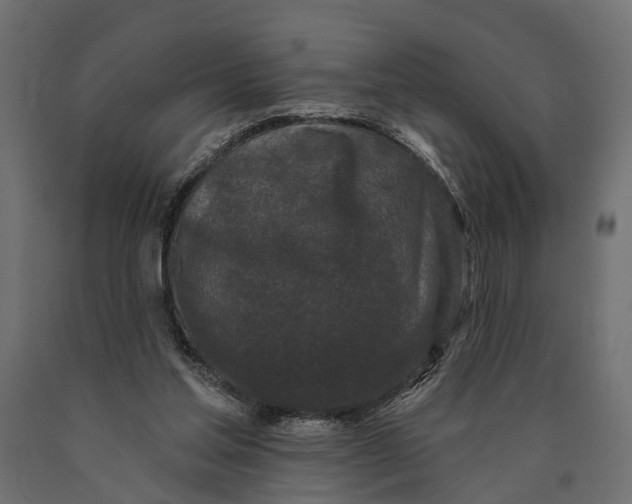 X0000090420205200708031114