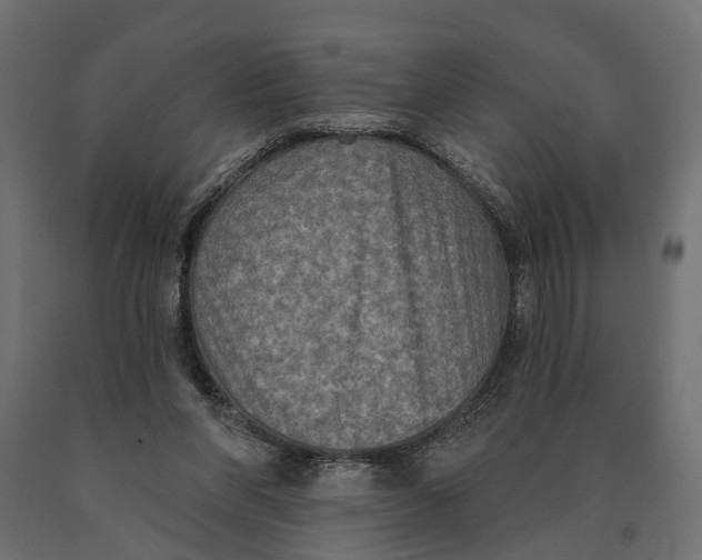 X0000090420206200708031114