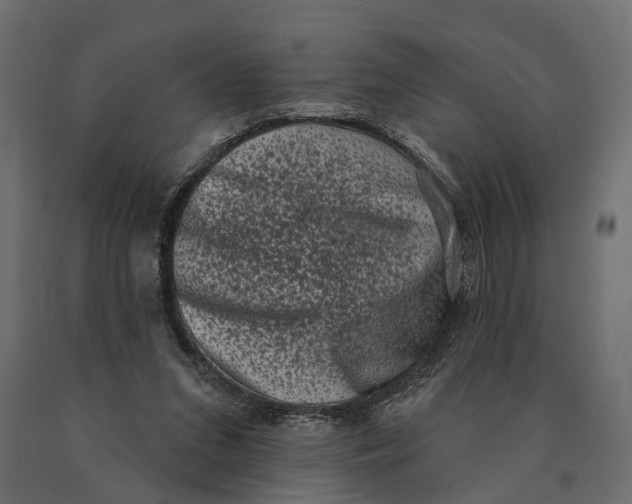 X0000090420207200708031114