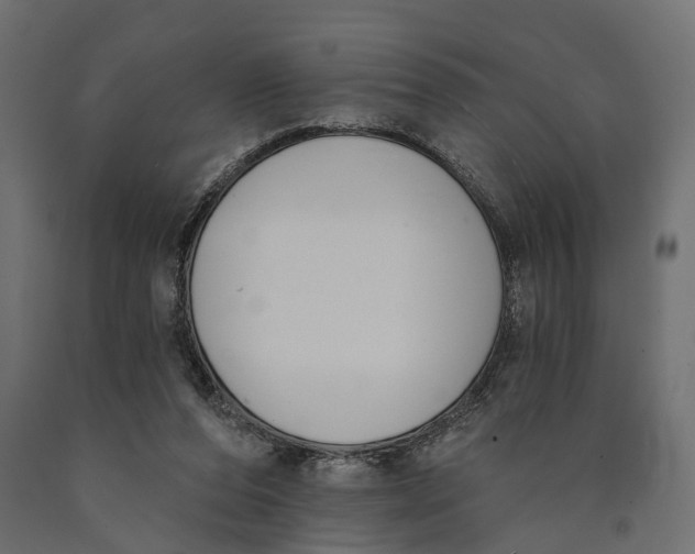 X0000090420208200708031114