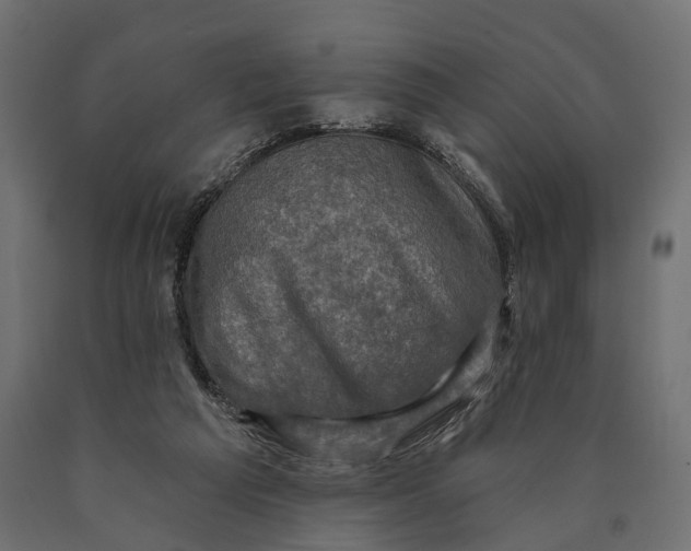 X0000090420209200708031114