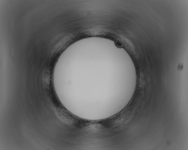 X0000090420210200708031114