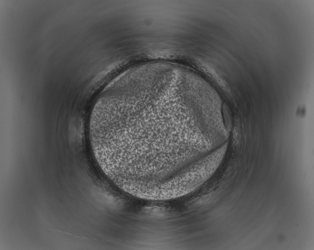 X0000090420211200708031114