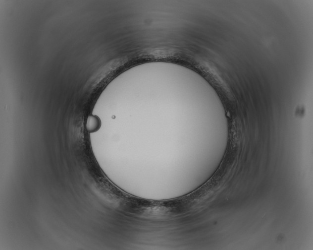 X0000090420212200708031114