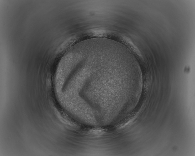 X0000090420213200708031114