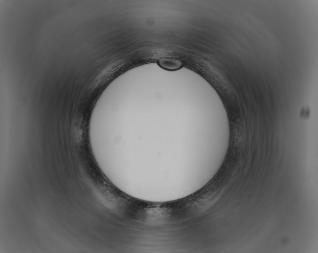 X0000090420216200708031114