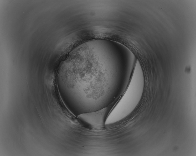 X0000090420219200708031114