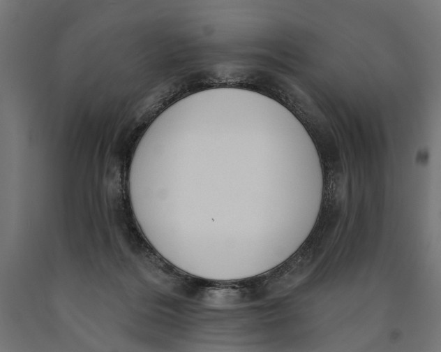 X0000090420220200708031114