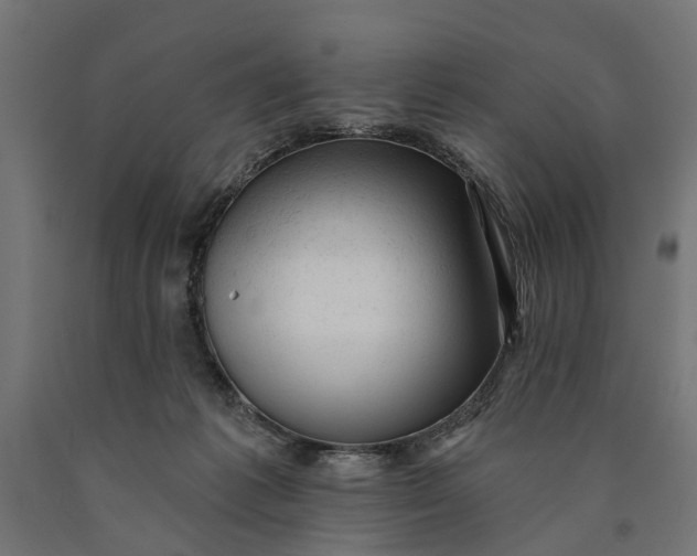 X0000090420221200708031114