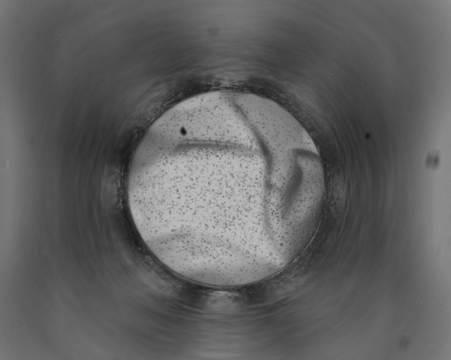 X0000090420222200708031114