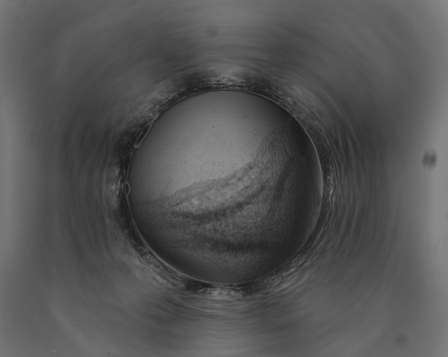 X0000090420223200708031114