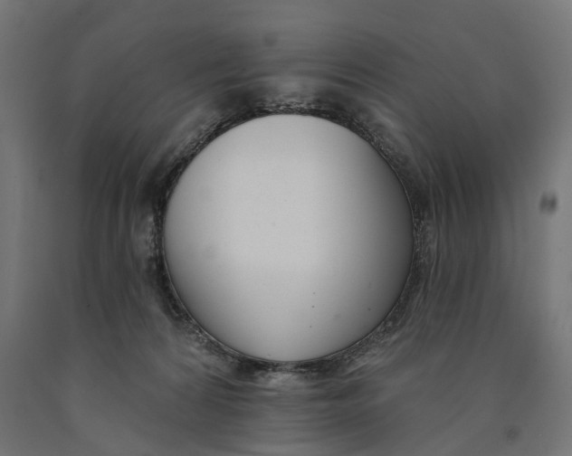 X0000090420224200708031114