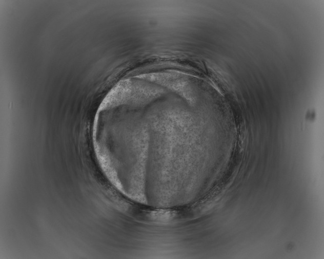 X0000090420225200708031113