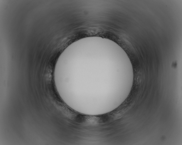 X0000090420226200708031113