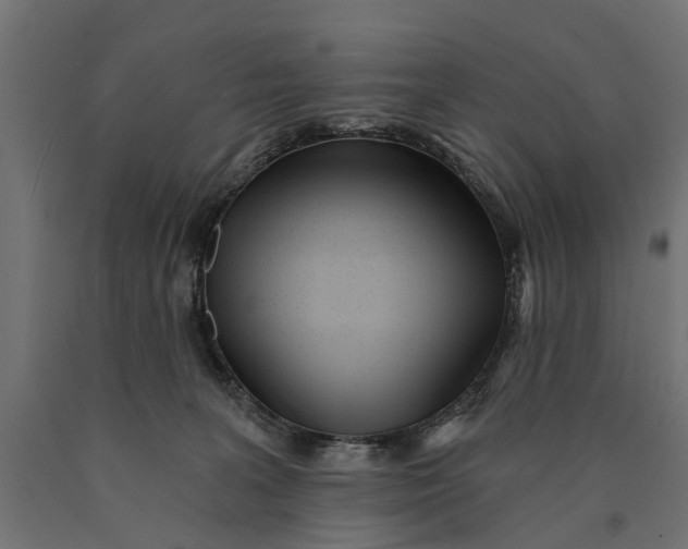 X0000090420227200708031113