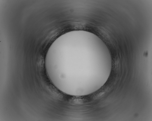 X0000090420228200708031113