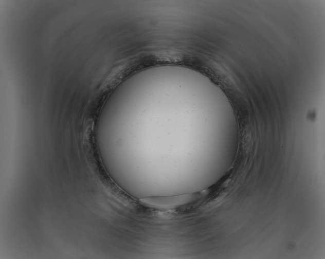 X0000090420229200708031113