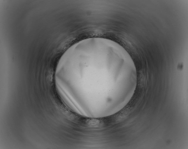 X0000090420230200708031113